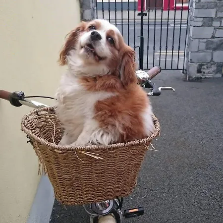 Clare Street Pensión