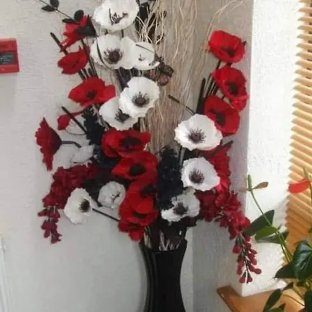 Clare Street Πανσιόν Nenagh