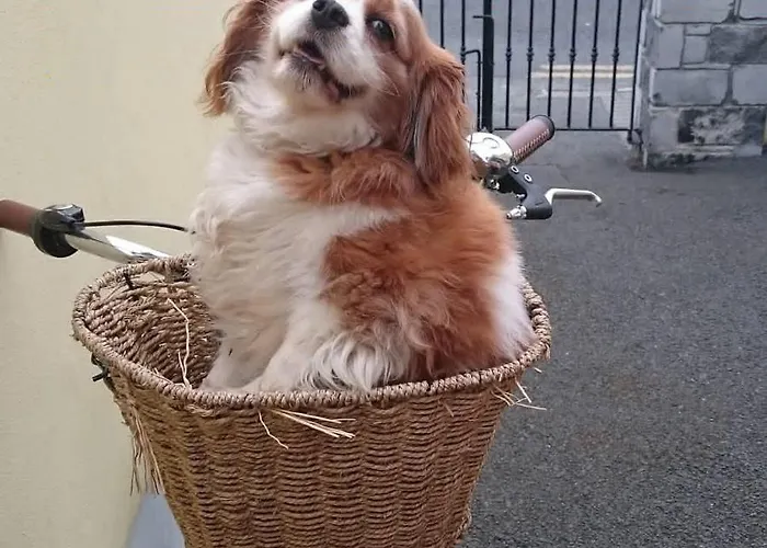 Clare Street Vendégház